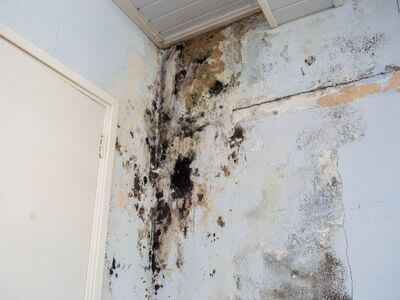 About Jacksonville Water Damage Restoration - water damage restoration experts in Jacksonville